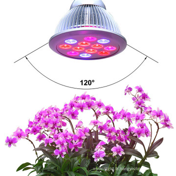 Helper Of Family Plant Light et serre 12w Par LED poussent de la lumière